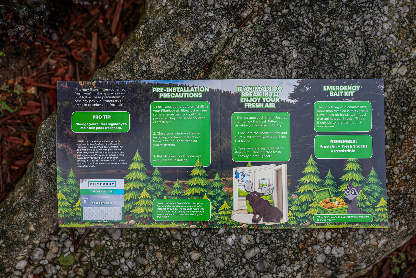 Inside the Filterbuy Great Indoors Survival Guide